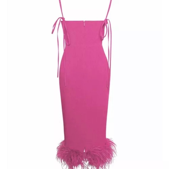 Fuschia Feather Dress - Picture 4 of 4